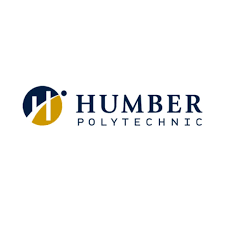 Business Insights and Analytics Logo